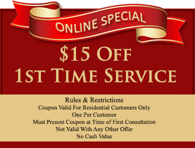$15 off first time service
